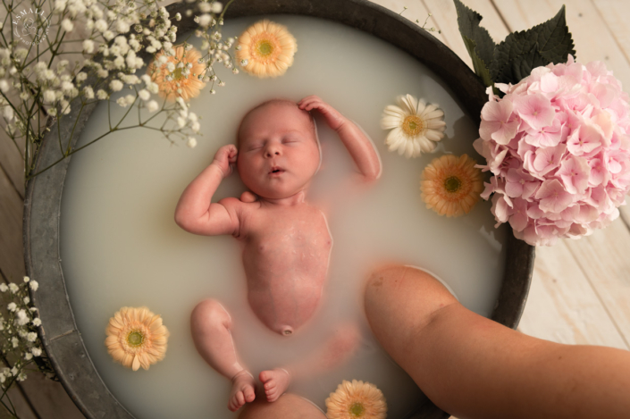 Photographe naissance