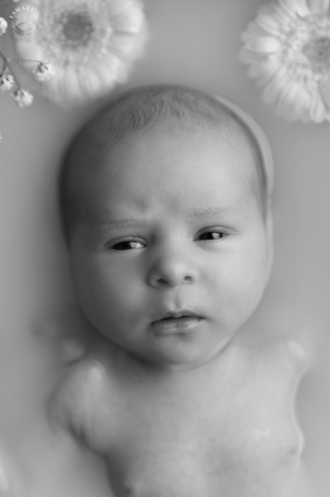 Photographe naissance