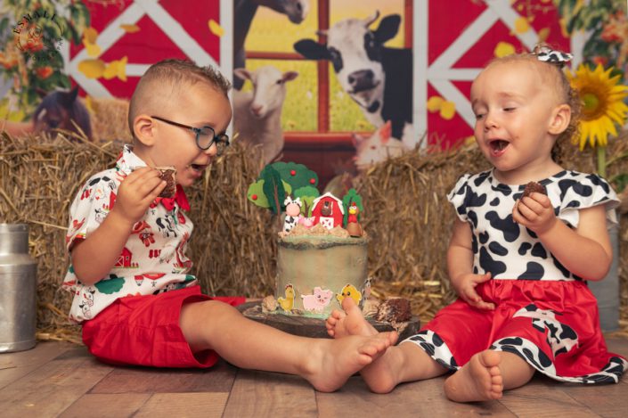 Smash the cake farmer