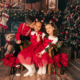 Séance photo Noël 77