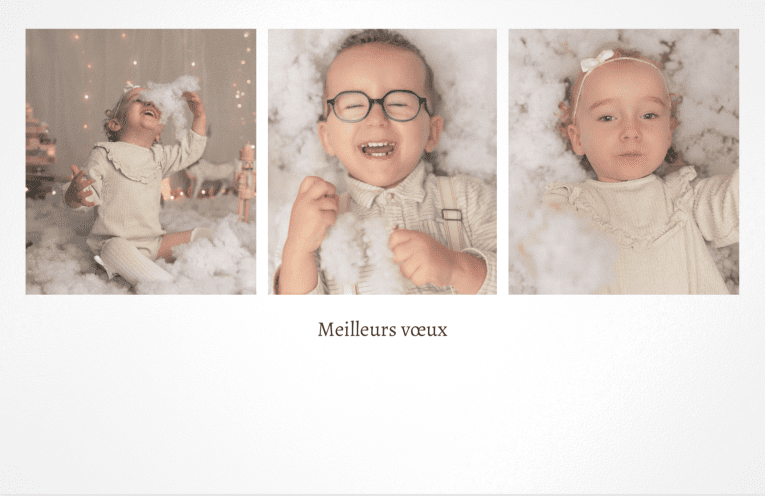 Voeux Noël blanc