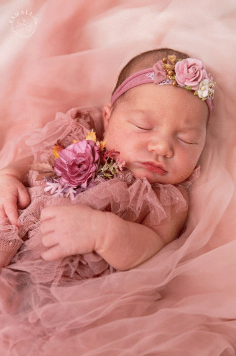 Photographe naissance 77
