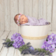 Photographe naissance