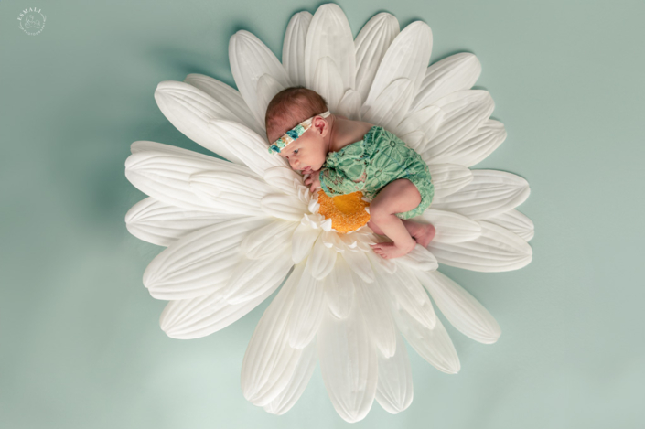 Photographe bébé 77