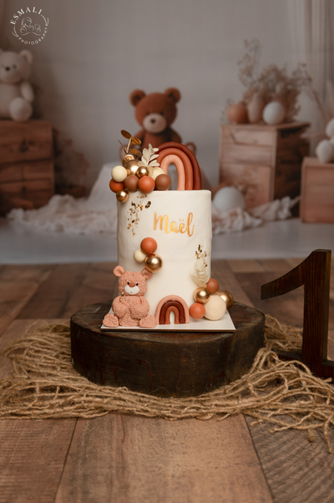 Photo Anniversaire - Smash the cake Nounours