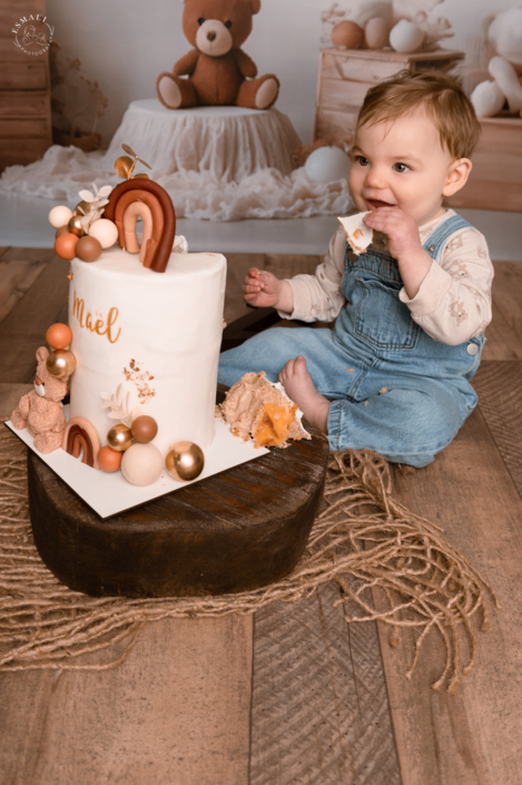Photo Anniversaire - Smash the cake Nounours