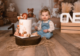 Photo Anniversaire - Smash the cake Nounours