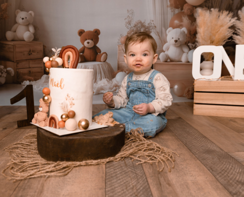 Photo Anniversaire - Smash the cake Nounours