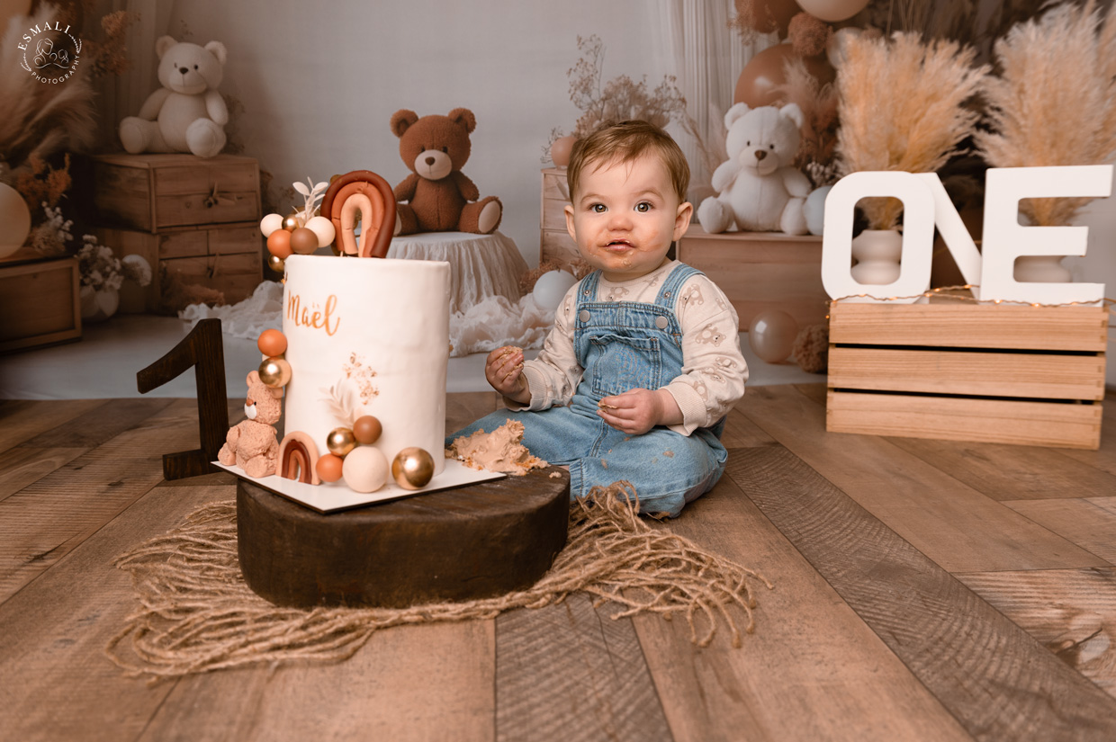 Photo Anniversaire - Smash the cake Nounours