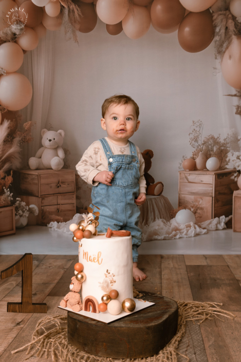 Photo Anniversaire - Smash the cake Nounours