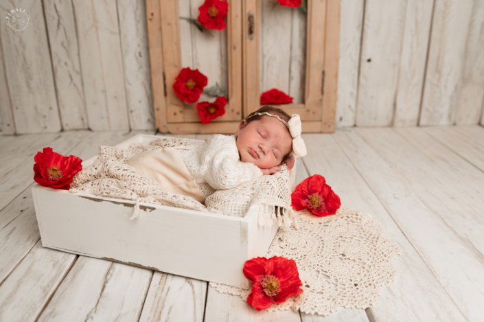 Séance photo naissance en studio Séance photo naissance en studio