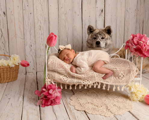 photographe bébé