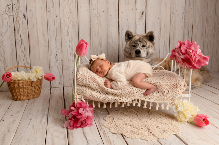 photographe bébé