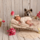 photographe bébé