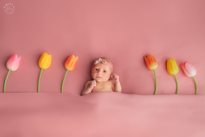 Photographe nouveau-né