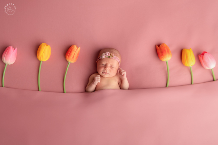 Séance photo bébé 51