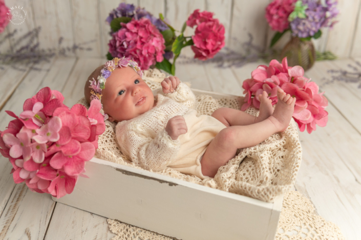 Séance photo bébé 51