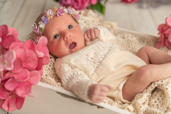 Séance photo bébé 51
