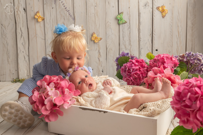 Séance photo bébé 51