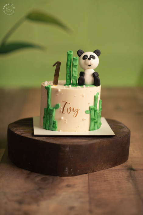 Photographe anniversaire